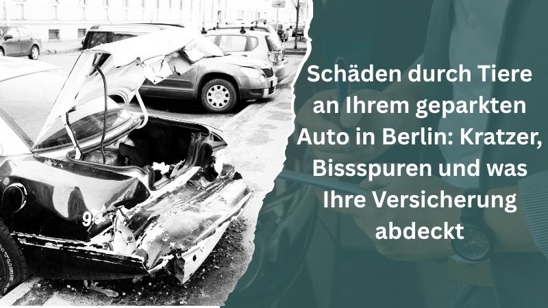 Schäden durch Tiere an Ihrem geparkten Auto in Berlin